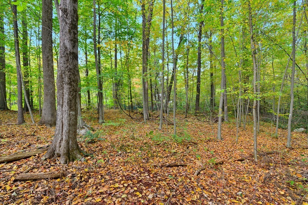 9 May Brook Road, Unit 9 Holland, MA 01521 - Photo 8 of 42 a view of outdoor space with lots of trees