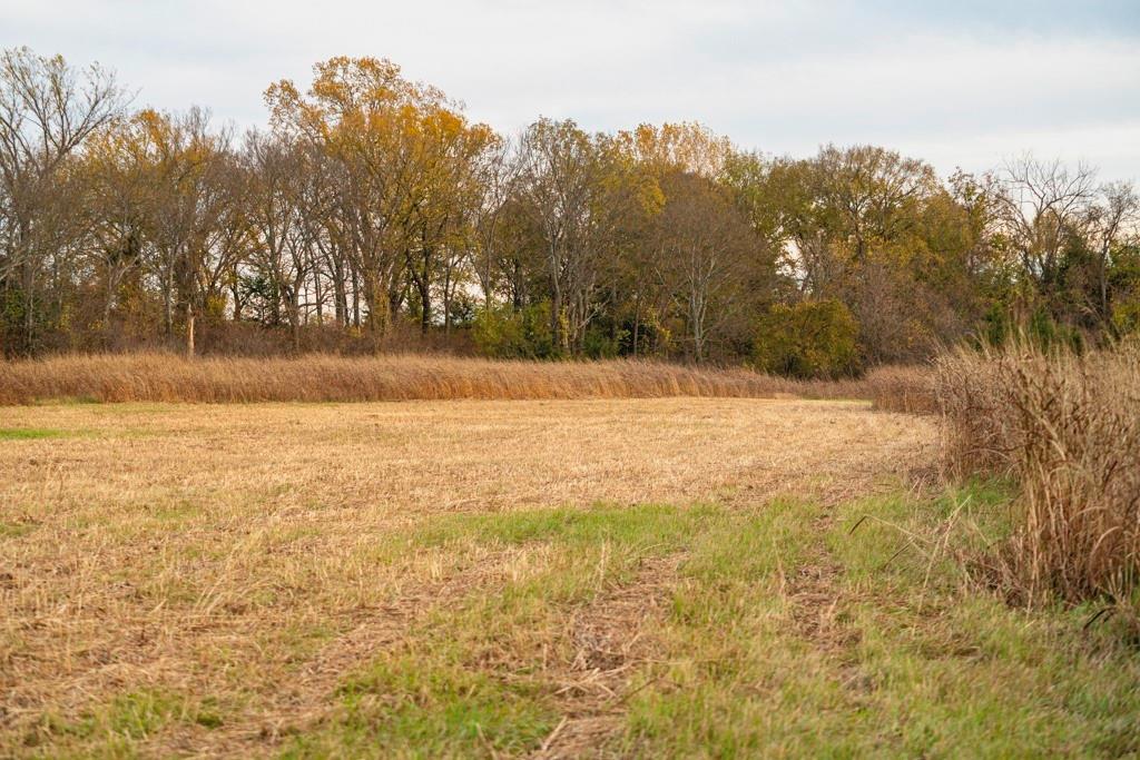 0 Colorado Road Pomona, KS 66076 - Photo 2 of 55