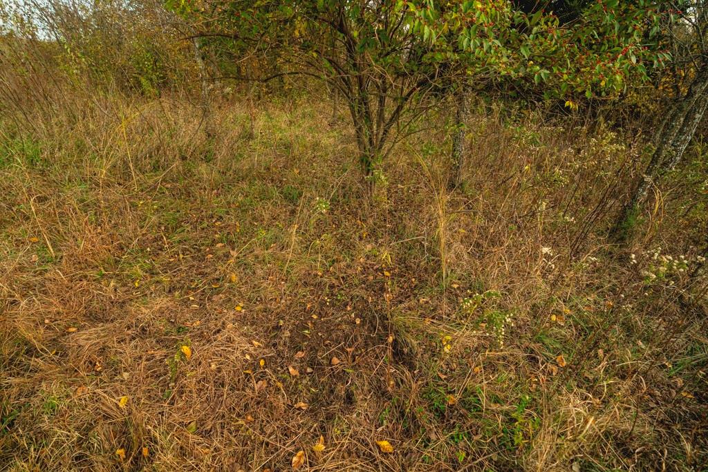 0 Colorado Road Pomona, KS 66076 - Photo 27 of 55