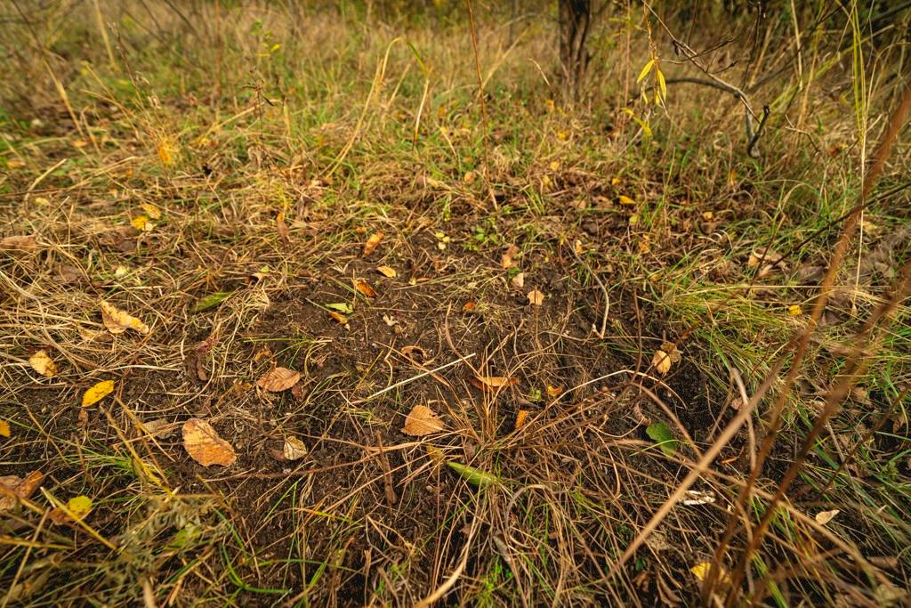 0 Colorado Road Pomona, KS 66076 - Photo 28 of 55