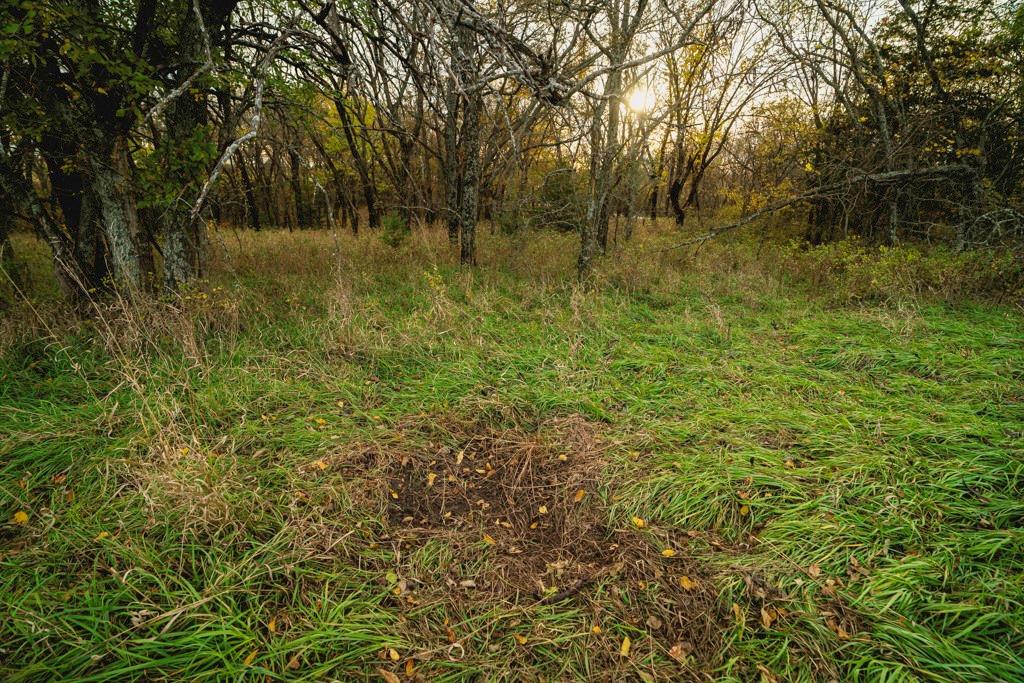 0 Colorado Road Pomona, KS 66076 - Photo 37 of 55