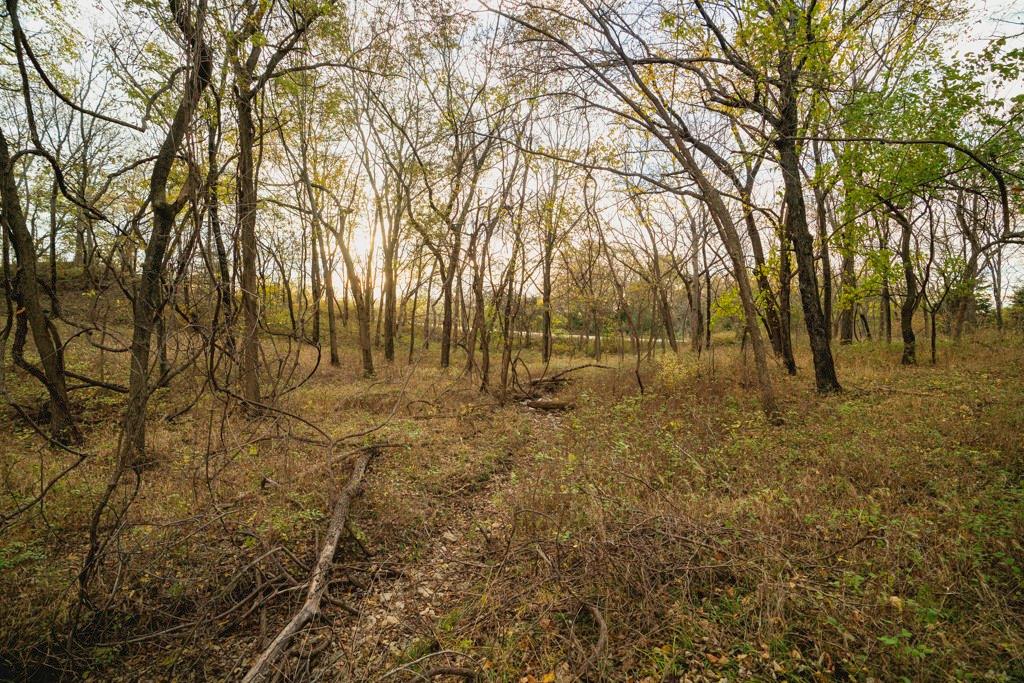 0 Colorado Road Pomona, KS 66076 - Photo 40 of 55