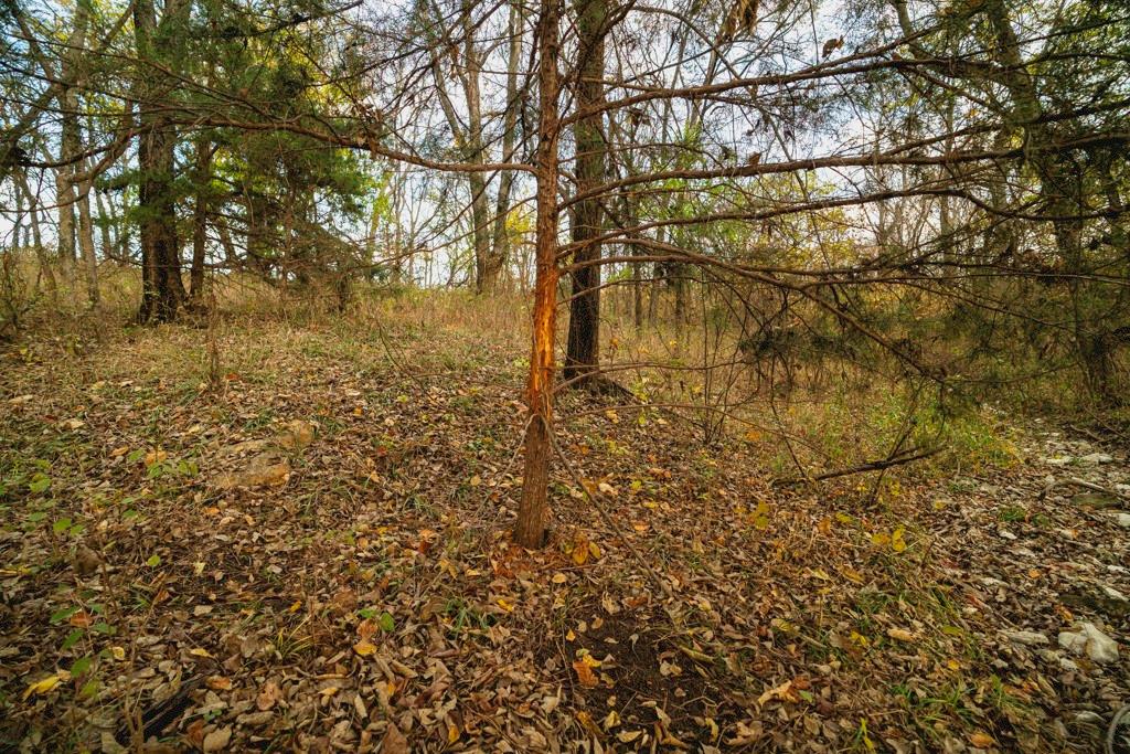 0 Colorado Road Pomona, KS 66076 - Photo 41 of 55