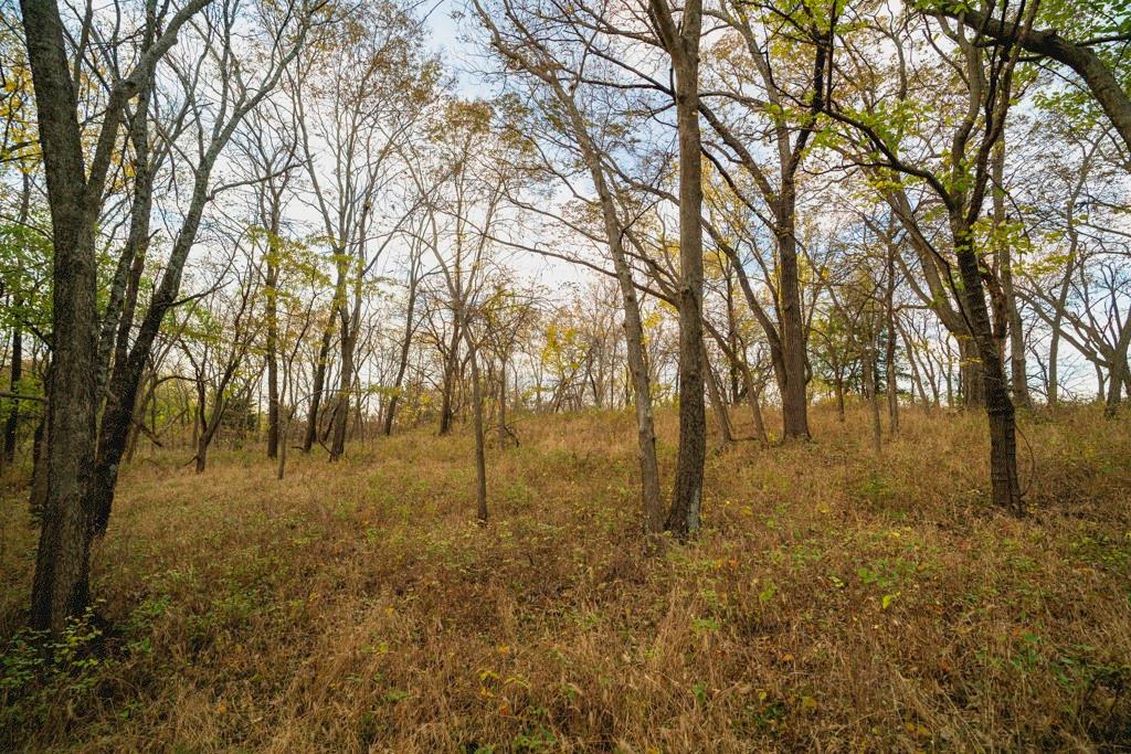 0 Colorado Road Pomona, KS 66076 - Photo 43 of 55