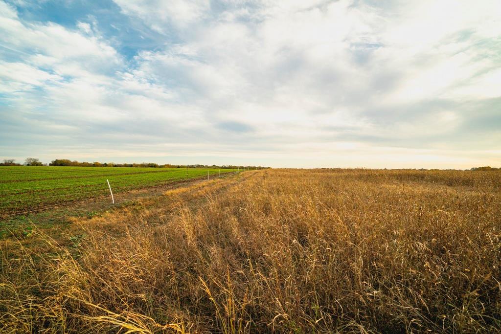 0 Colorado Road Pomona, KS 66076 - Photo 47 of 55