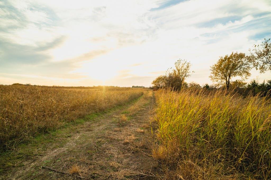 0 Colorado Road Pomona, KS 66076 - Photo 48 of 55