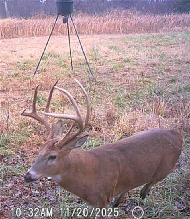 0 Colorado Road Pomona, KS 66076 - Photo 51 of 55