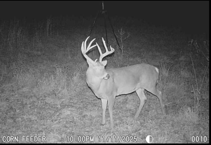 0 Colorado Road Pomona, KS 66076 - Photo 52 of 55