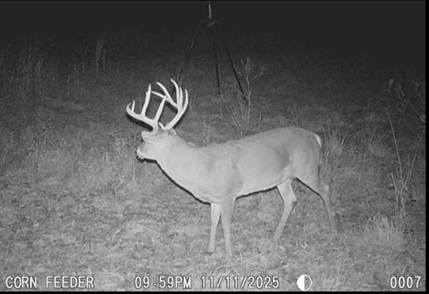 0 Colorado Road Pomona, KS 66076 - Photo 53 of 55