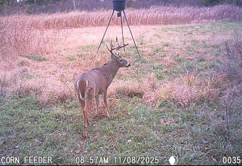 0 Colorado Road Pomona, KS 66076 - Photo 54 of 55