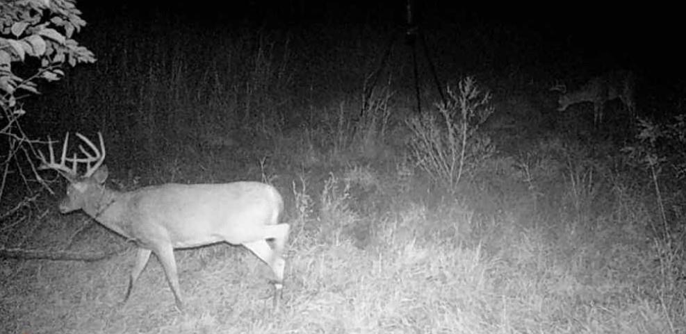 0 Colorado Road Pomona, KS 66076 - Photo 55 of 55