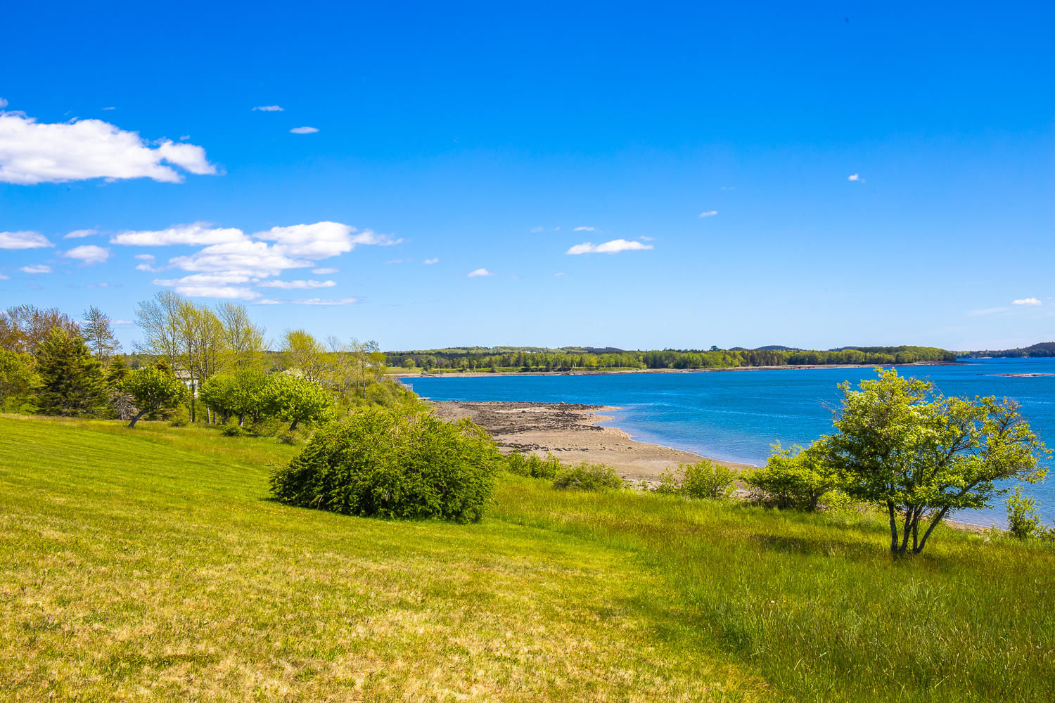 74 River House Road Castine, ME 04421 - Photo 45 of 72 IMG_0533-HDR