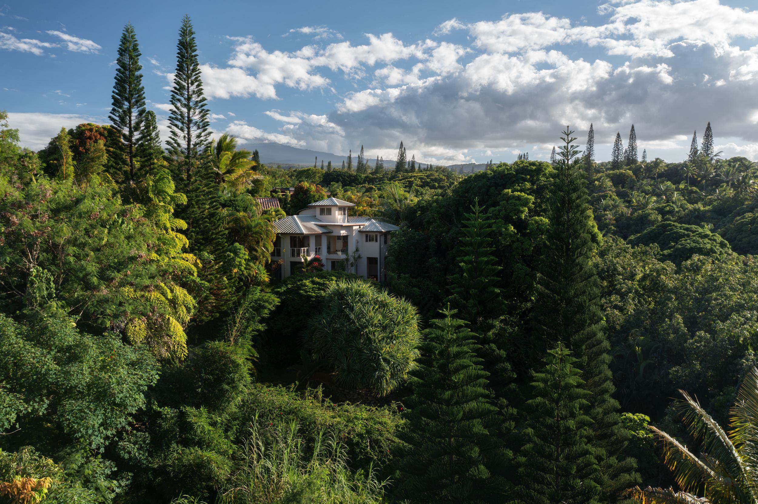 715 North Honokala Road Haiku, HI 96708 - Photo 50 of 50