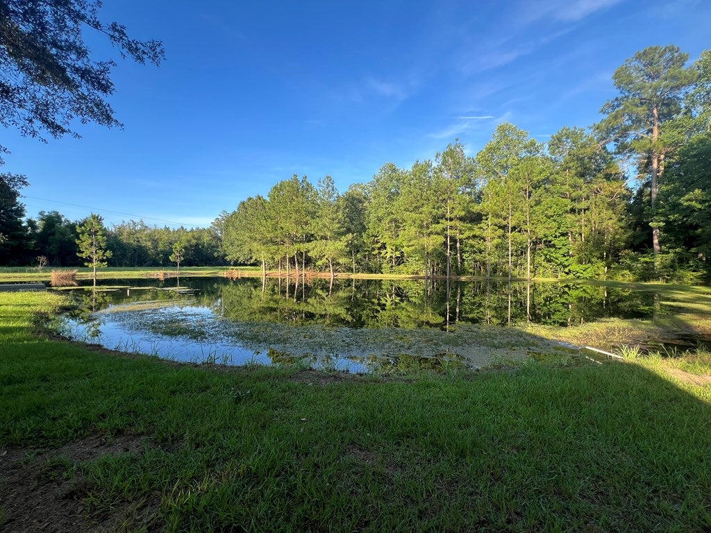 900 Benton Road Ochlocknee, GA 31773 - Photo 30 of 33 Gallery Image 30