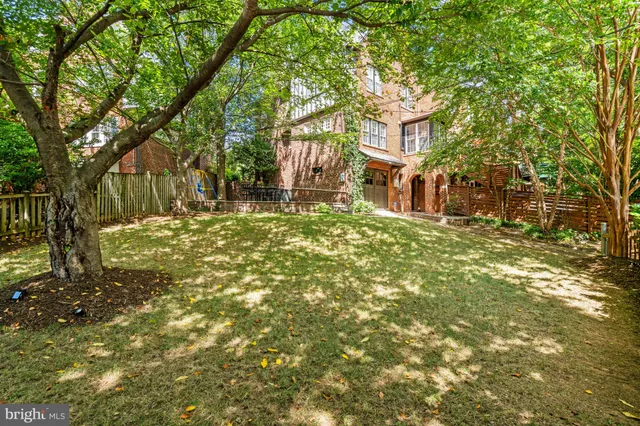 a large tree in the middle of forest