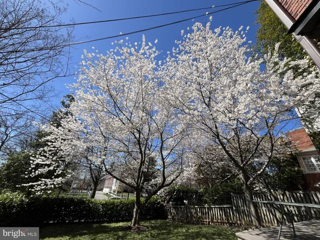 $1,595,000 | 4452 Q Street Northwest, Washington, DC 20007