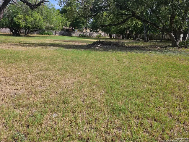 a view of a field with trees