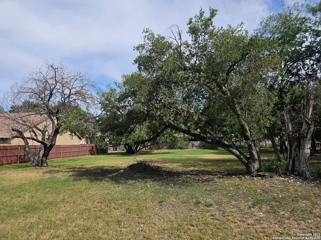 a view of outdoor space with trees