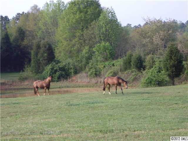 200 Barrier Farms Road Midland, NC 28107 - Photo 5 of 16