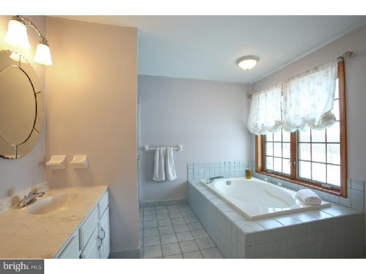 963 Bucks Road Perkasie, PA 18944 - Photo 15 of 20 Master Bathroom