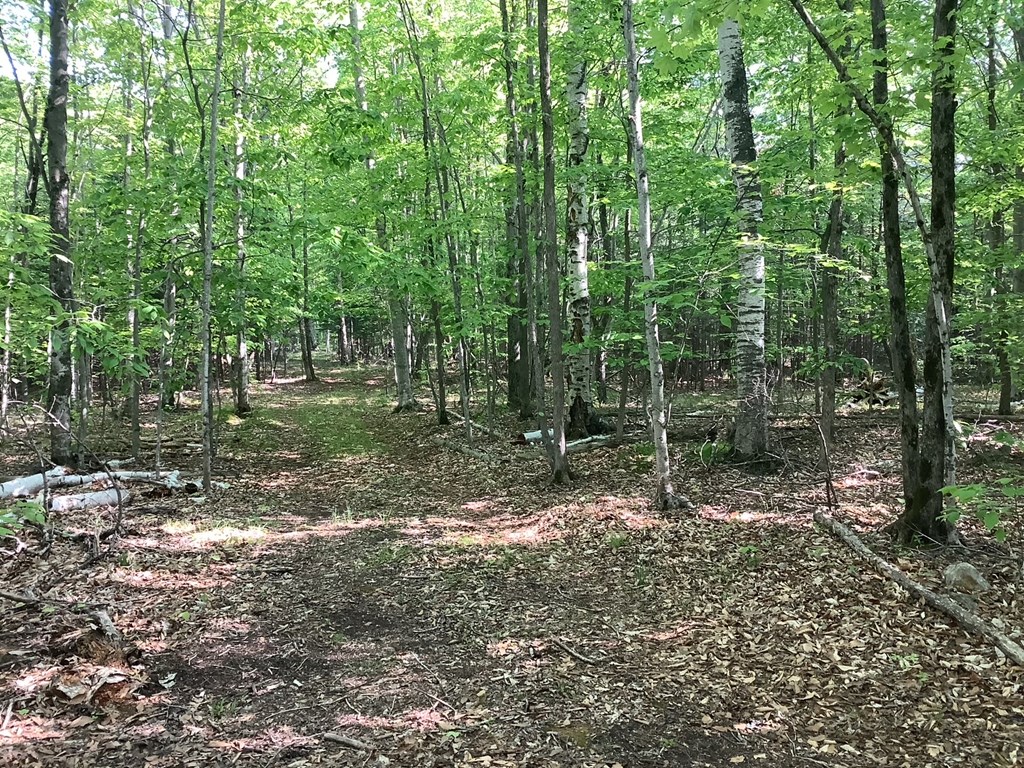 Tbd Timber Trail Washington Island, WI 54246 - Photo 3 of 5