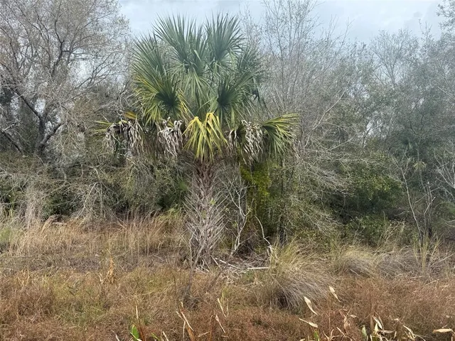 $25,900 | 17667 Northwest 254th Street, Okeechobee, FL 34972