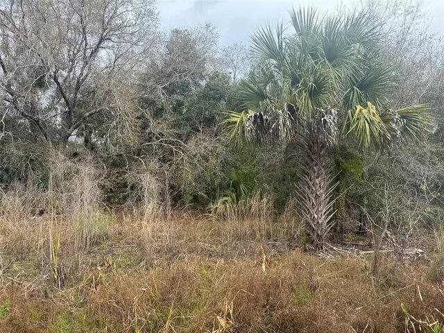 $25,900 | 17667 Northwest 254th Street, Okeechobee, FL 34972