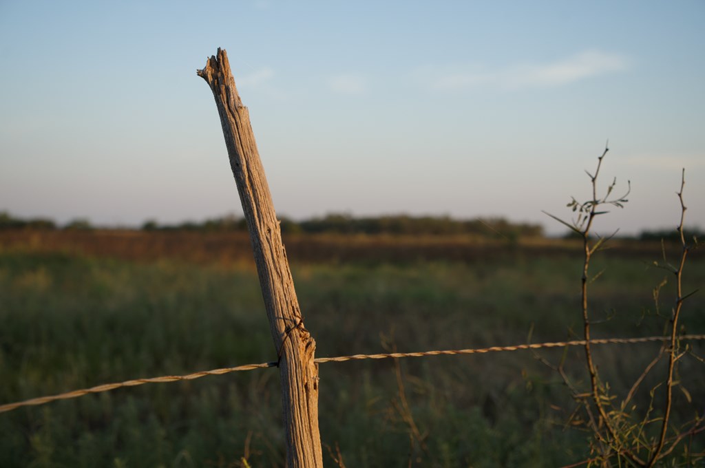 2035 County Road Rochelle, TX 76872 - Photo 12 of 68