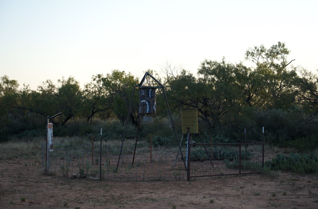2035 County Road Rochelle, TX 76872 - Photo 13 of 68 a view of a yard with a trampoline