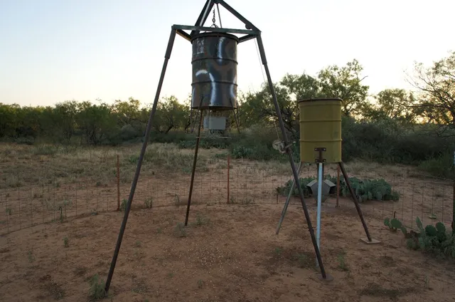 a view of a lush green space