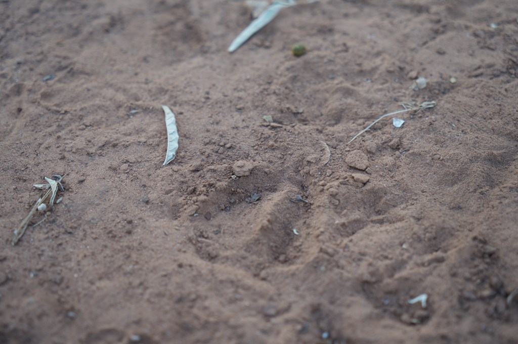 2035 County Road Rochelle, TX 76872 - Photo 15 of 68 a close view of a shower in the bathroom