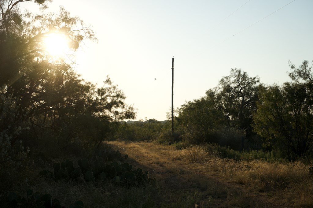 2035 County Road Rochelle, TX 76872 - Photo 18 of 68