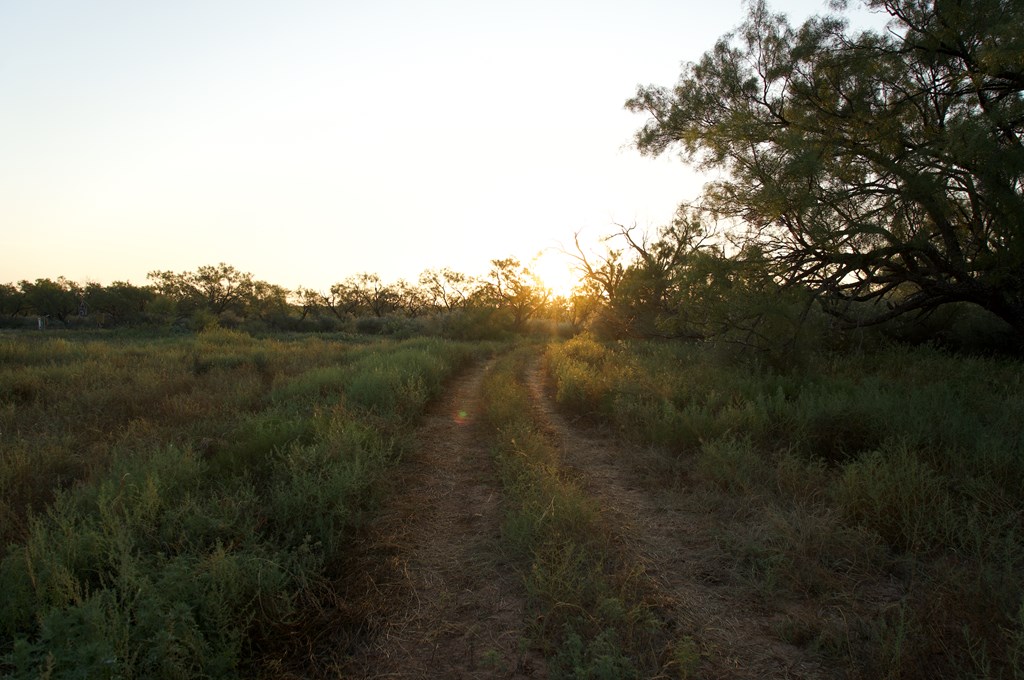 2035 County Road Rochelle, TX 76872 - Photo 2 of 68