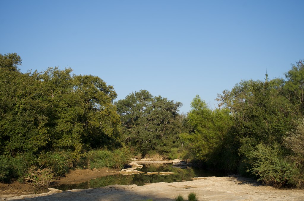 2035 County Road Rochelle, TX 76872 - Photo 26 of 68 a view of a tree with a yard