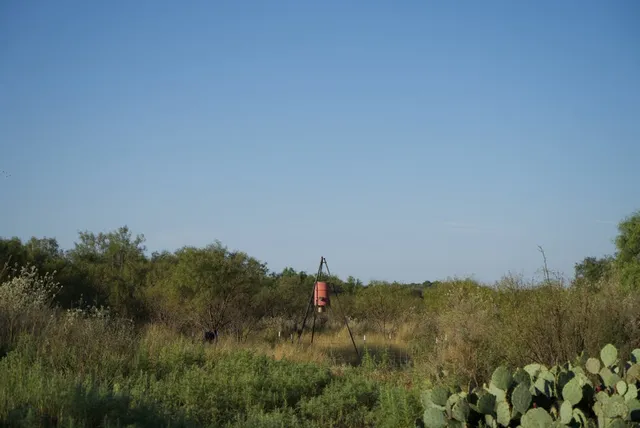 a view of a lake with a tree