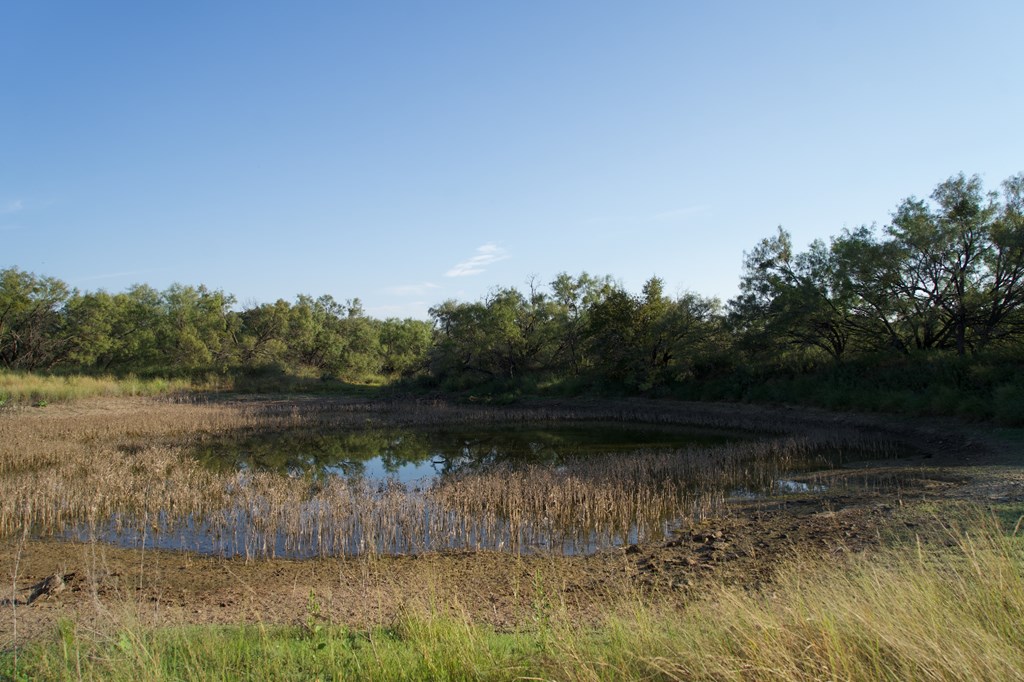 2035 County Road Rochelle, TX 76872 - Photo 32 of 68 a view of a lake with a yard and large trees