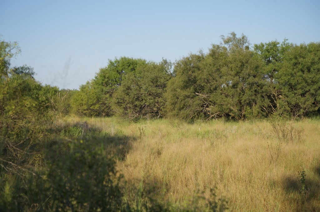 2035 County Road Rochelle, TX 76872 - Photo 33 of 68 a view of a lake from a yard