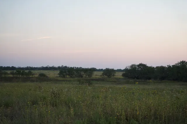 a view of a city with lush green forest