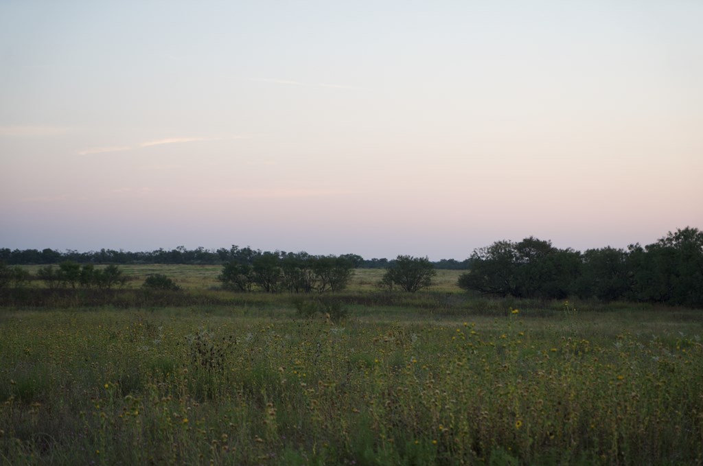 2035 County Road Rochelle, TX 76872 - Photo 4 of 68