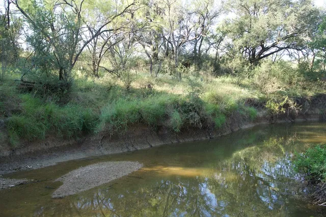 a view of a back yard of the house