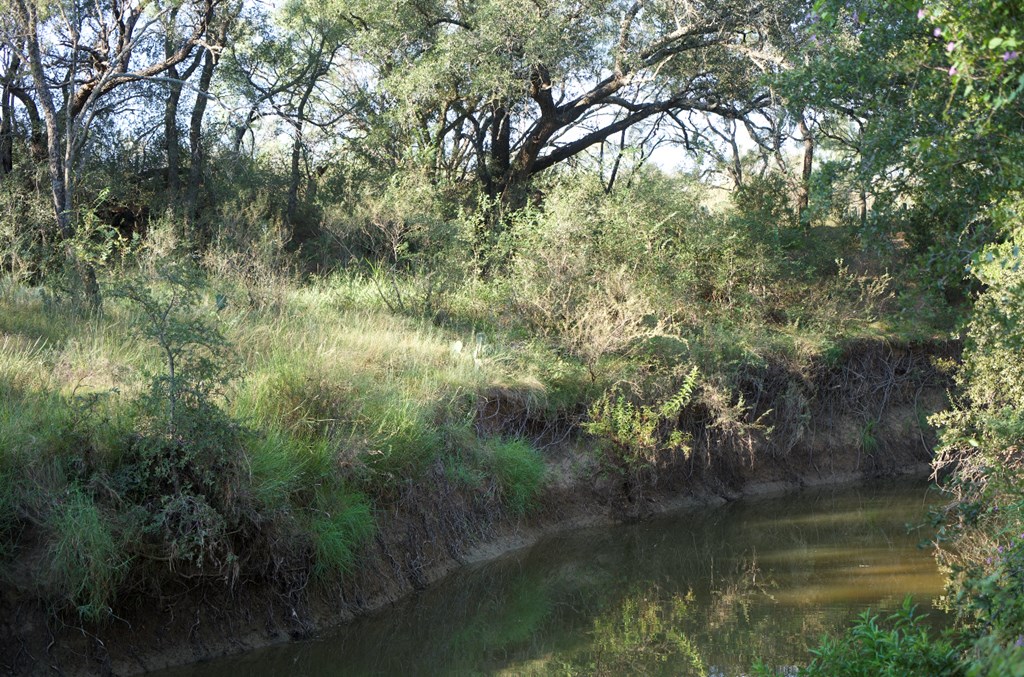 2035 County Road Rochelle, TX 76872 - Photo 42 of 68 a view of a lake with a tree