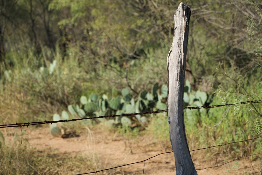 2035 County Road Rochelle, TX 76872 - Photo 43 of 68
