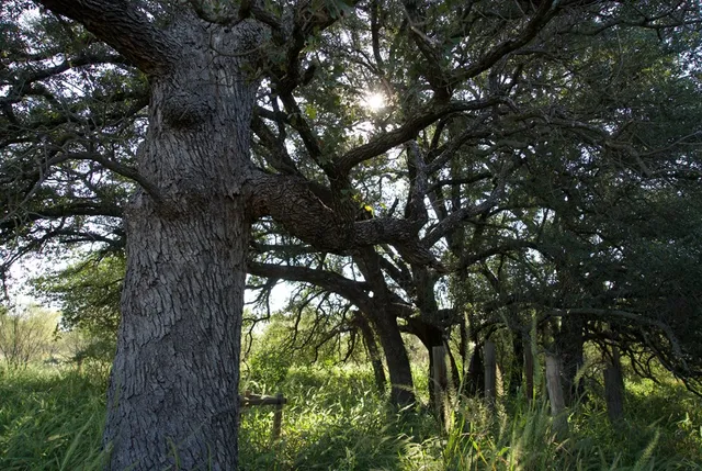 a view of a city and mountain