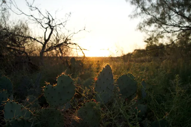 a view of mountain with lake view
