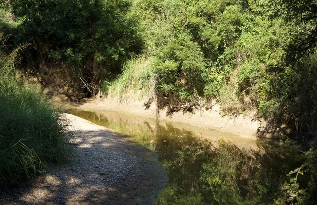 $866,875 | 2035 County Road, Rochelle, TX 76872