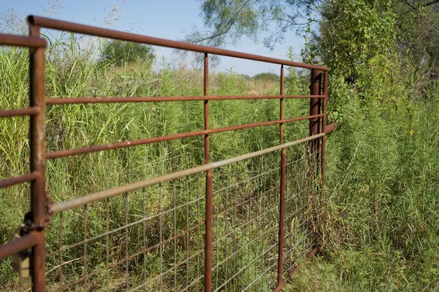 $866,875 | 2035 County Road, Rochelle, TX 76872