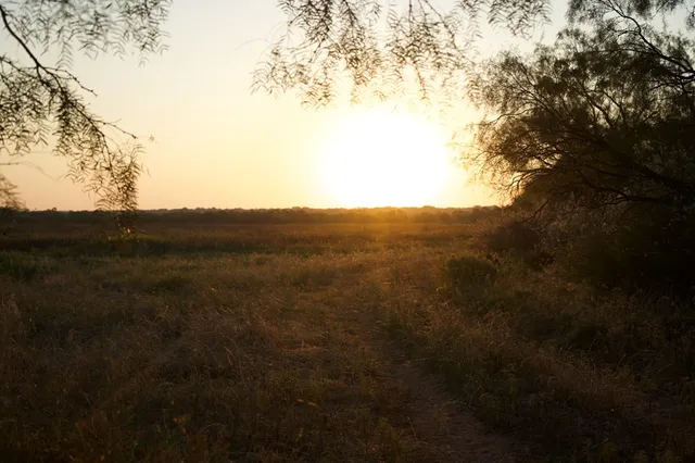 a view of a yard in a field