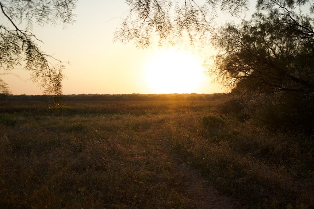 2035 County Road Rochelle, TX 76872 - Photo 7 of 68 a view of a city with lush green forest