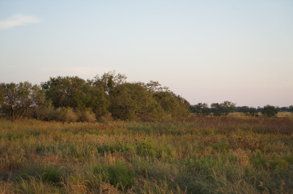 2035 County Road Rochelle, TX 76872 - Photo 8 of 68 a view of mountain with lake view