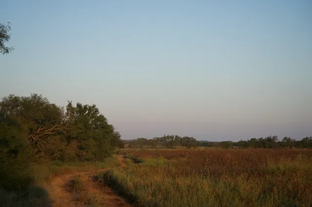 a close view of a shower in the bathroom